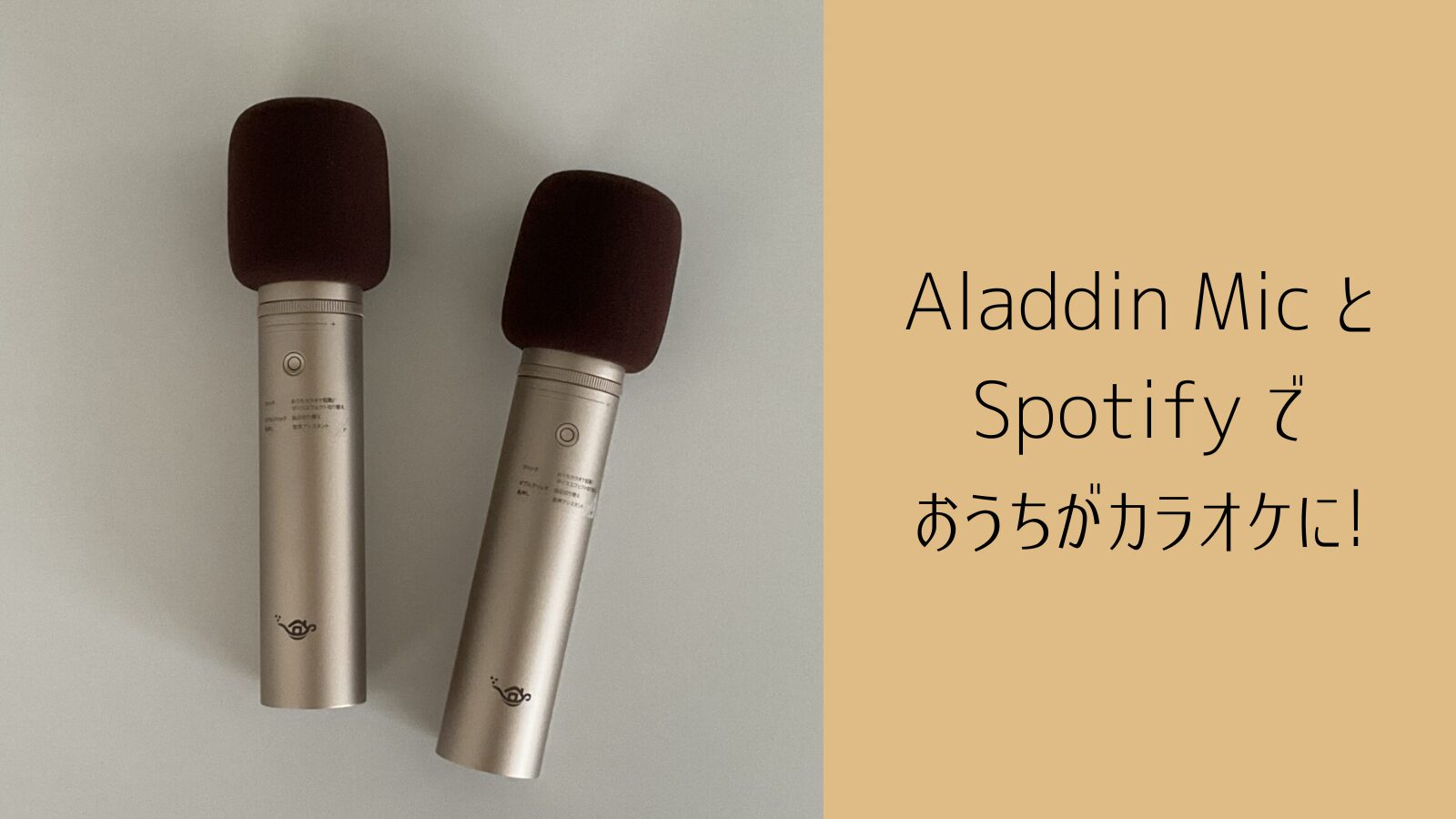 popIn Aladdin 2 ポップインアラジン2 専用マイク2本付き 楽天市場 